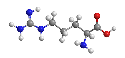 L-arginine in norm and pathology