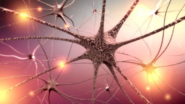 Способность Эдаравона снижать повышенный уровень легкой цепи нейрофиламента у пациентов с боковым амиотрофическим склерозом