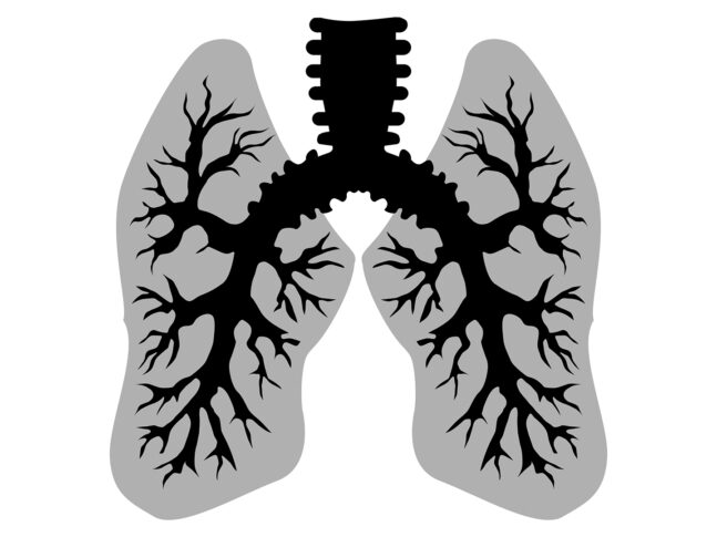 Factors related to the improvement of the right ventricular function in patients with pulmonary embolism at short-term follow-up